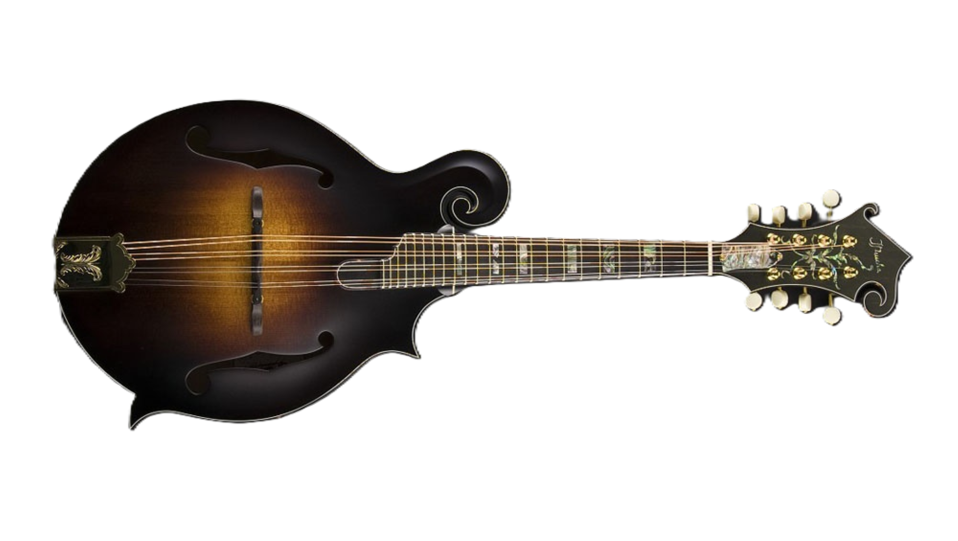 TOMÁŠ TICHÝ MUZIKANT